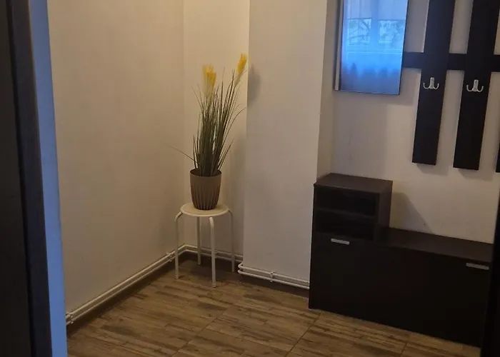 Apartament Central *